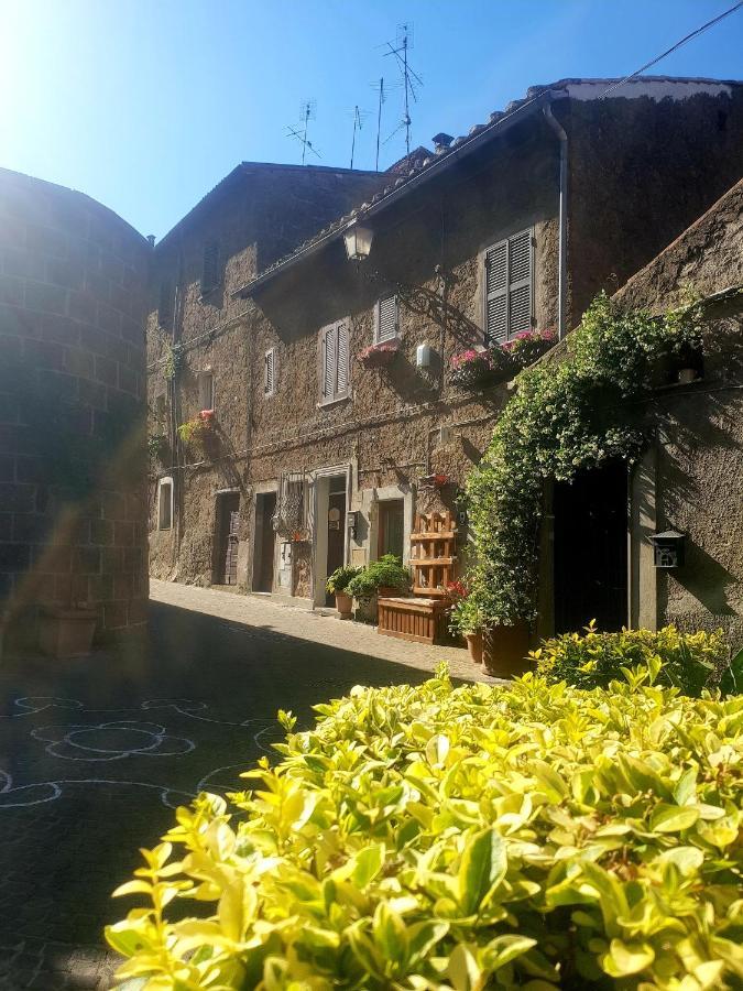 La Casa Dei Libri Villa Sutri Luaran gambar